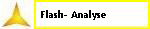 Flash- Analyse