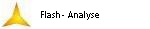 Flash- Analyse